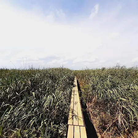 Casa de Férias Balaton Wave Lakehouse