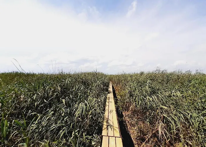 Dom wakacyjny Balaton Wave Lakehouse